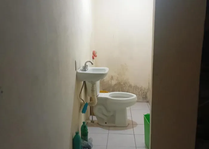 Apartment Sensillo *